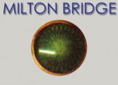 Эмаль горячая MILTON BRIDGE PT 217 пастельная Зеленое яблоко, г