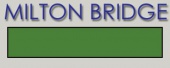 Эмаль горячая MILTON BRIDGE T 250 прозрачная Харрод (зеленый), г