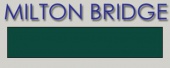 Эмаль горячая MILTON BRIDGE T 234 прозрачная Дикая утка (зеленый), г
