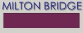 Эмаль горячая MILTON BRIDGE T 205 прозрачная Фиолетовый, г